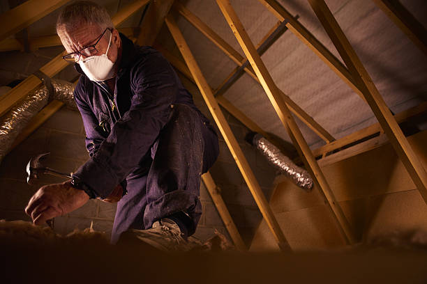 Best Insulation Installation Services in Woodbine, NJ